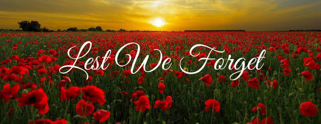 lest we forget, poppy field
