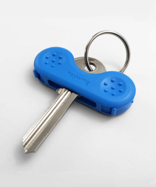 Blue Keywing